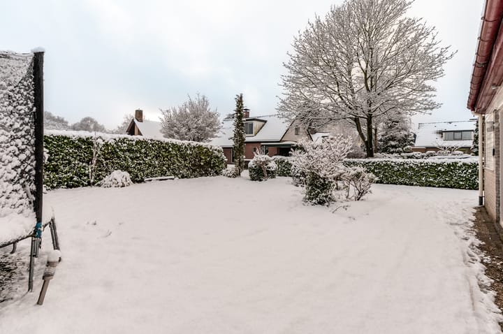 Foto 24 van Kempenaar 02 35