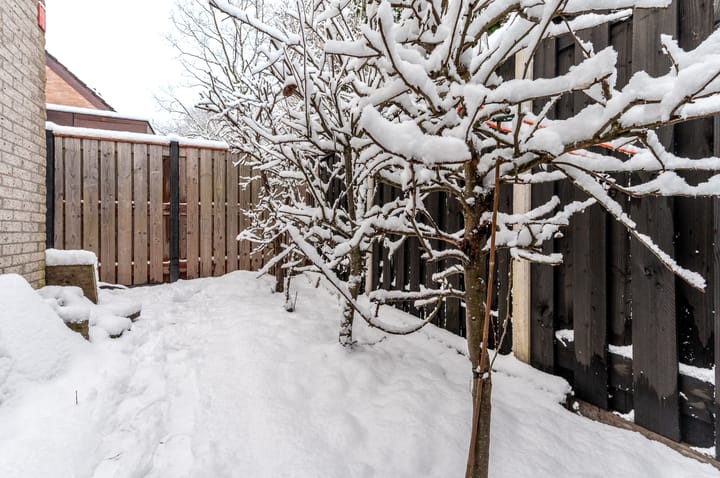 Foto 29 van Kempenaar 02 35