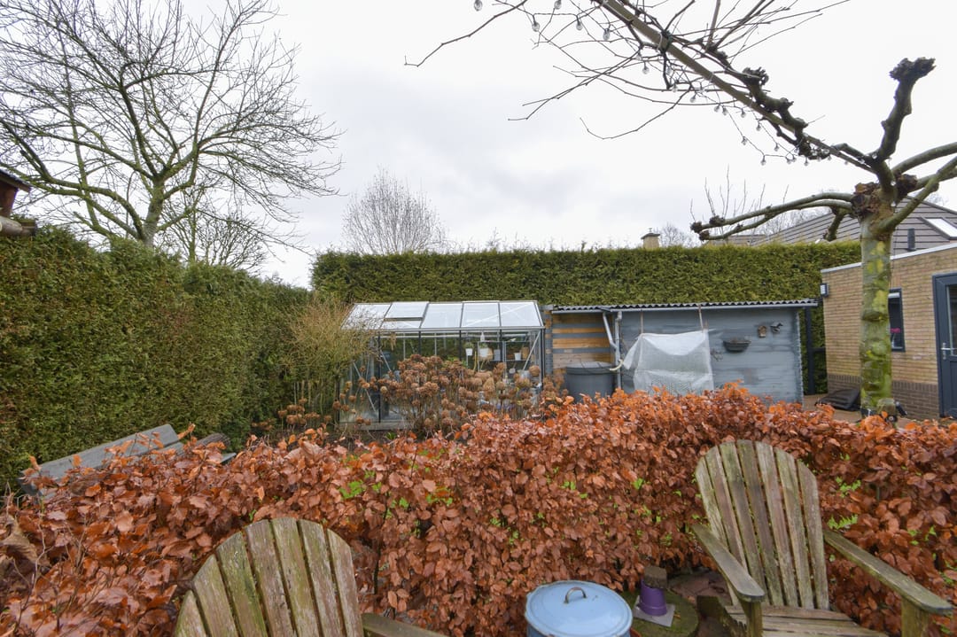 Foto 41 van de Brakken 17