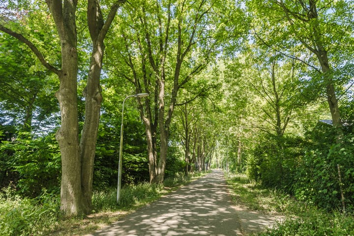 Foto 31 van Lennondreef 33