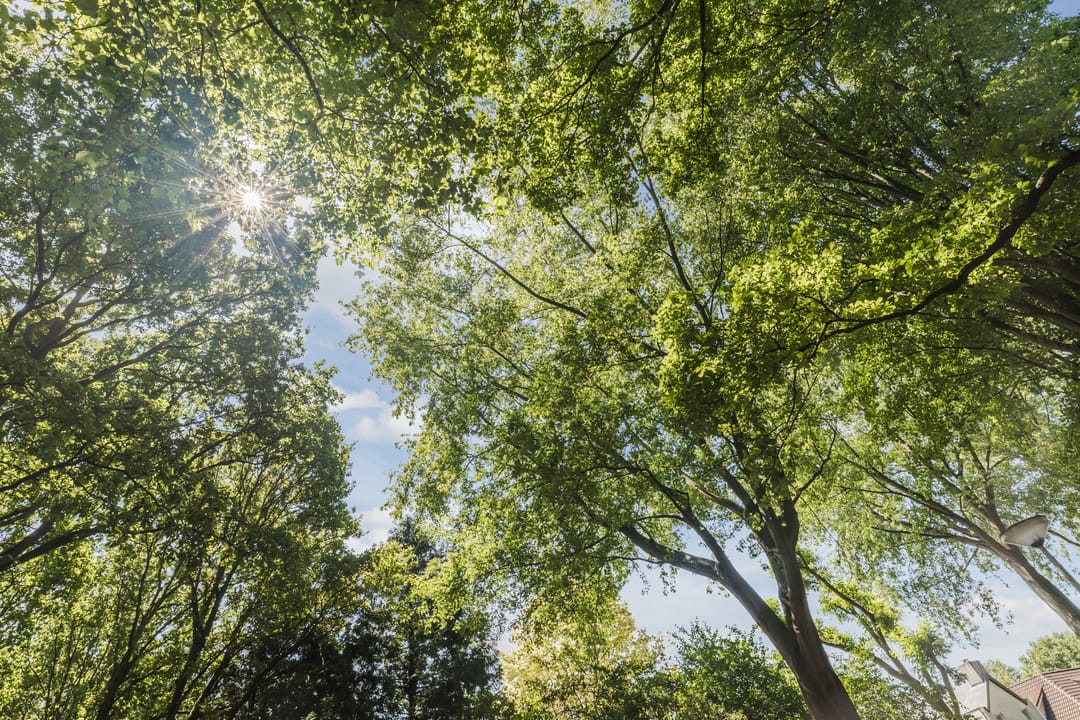 Foto 32 van Lennondreef 33