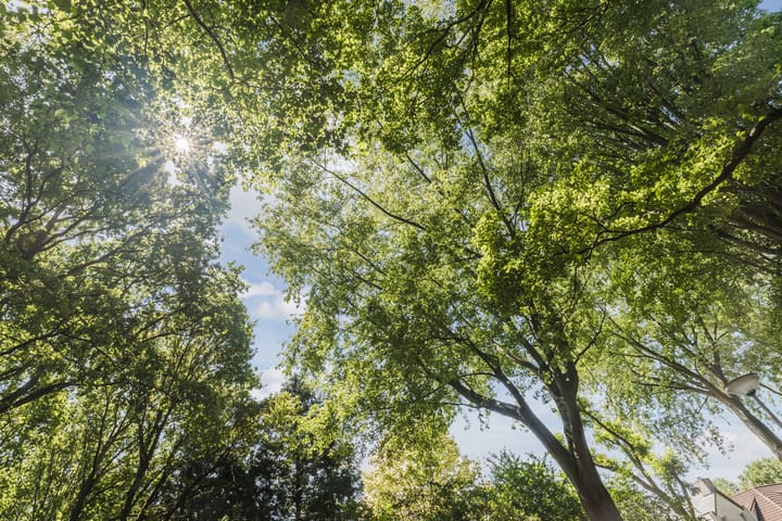 Foto 32 van Lennondreef 33