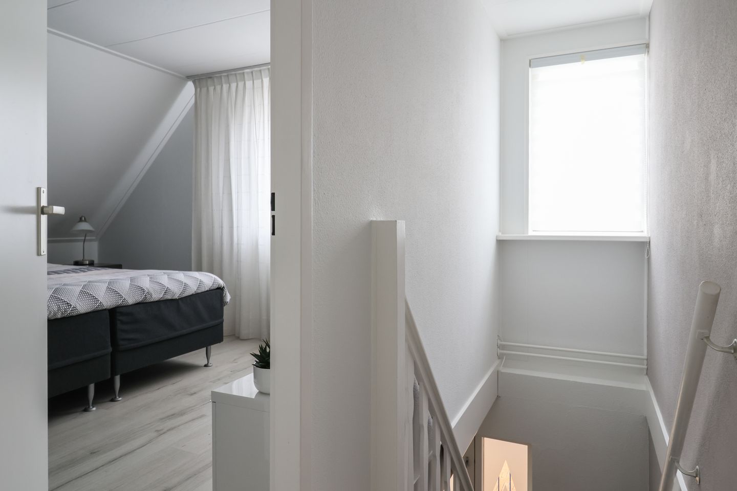 Photo 44 of Beckrypleane 25