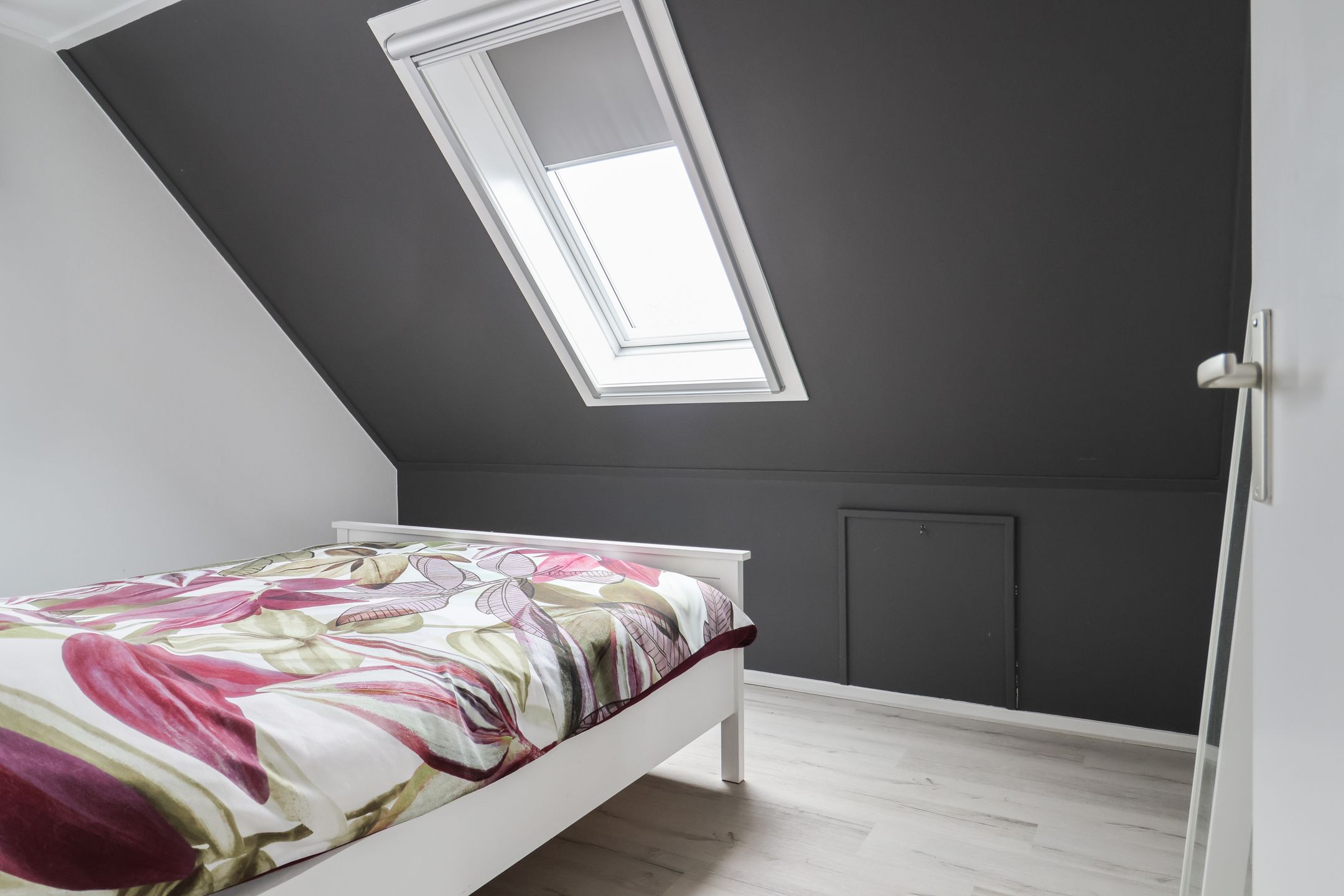 Photo 48 of Beckrypleane 25