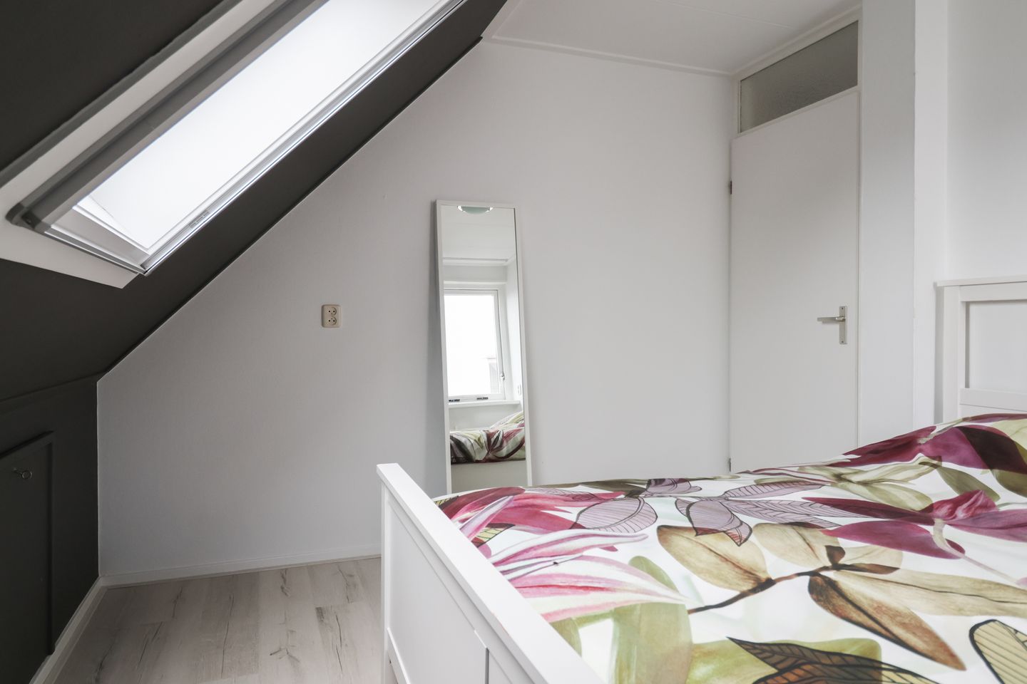 Photo 50 of Beckrypleane 25