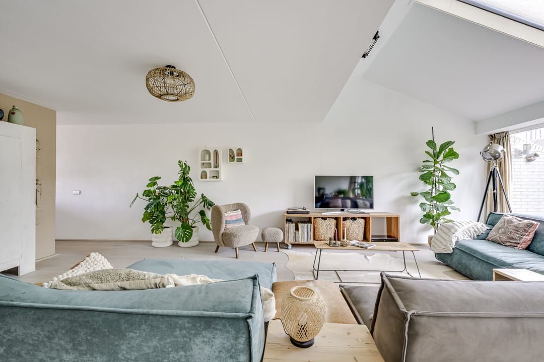 Foto 7 van Willem Walravenhove 38