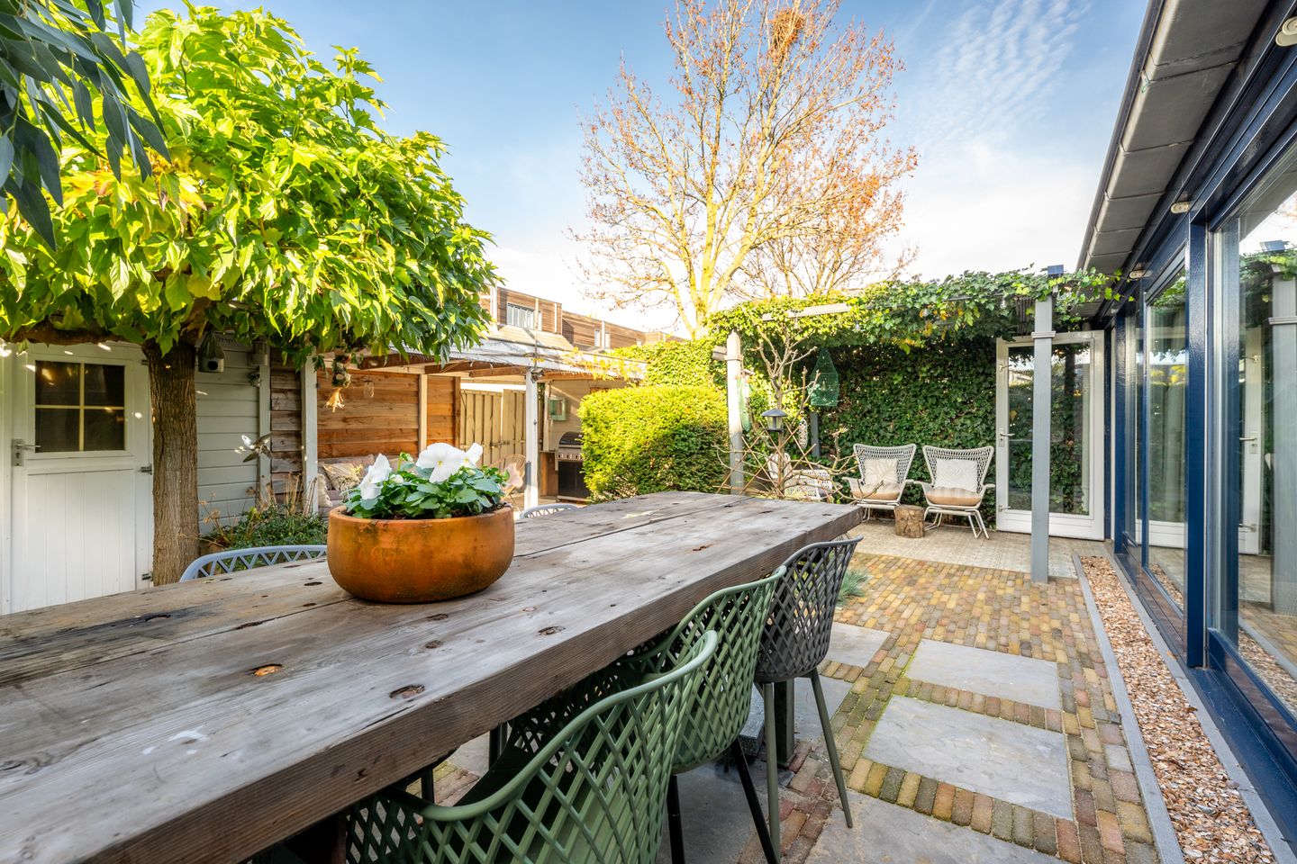 Foto 4 van Willem Walravenhove 38