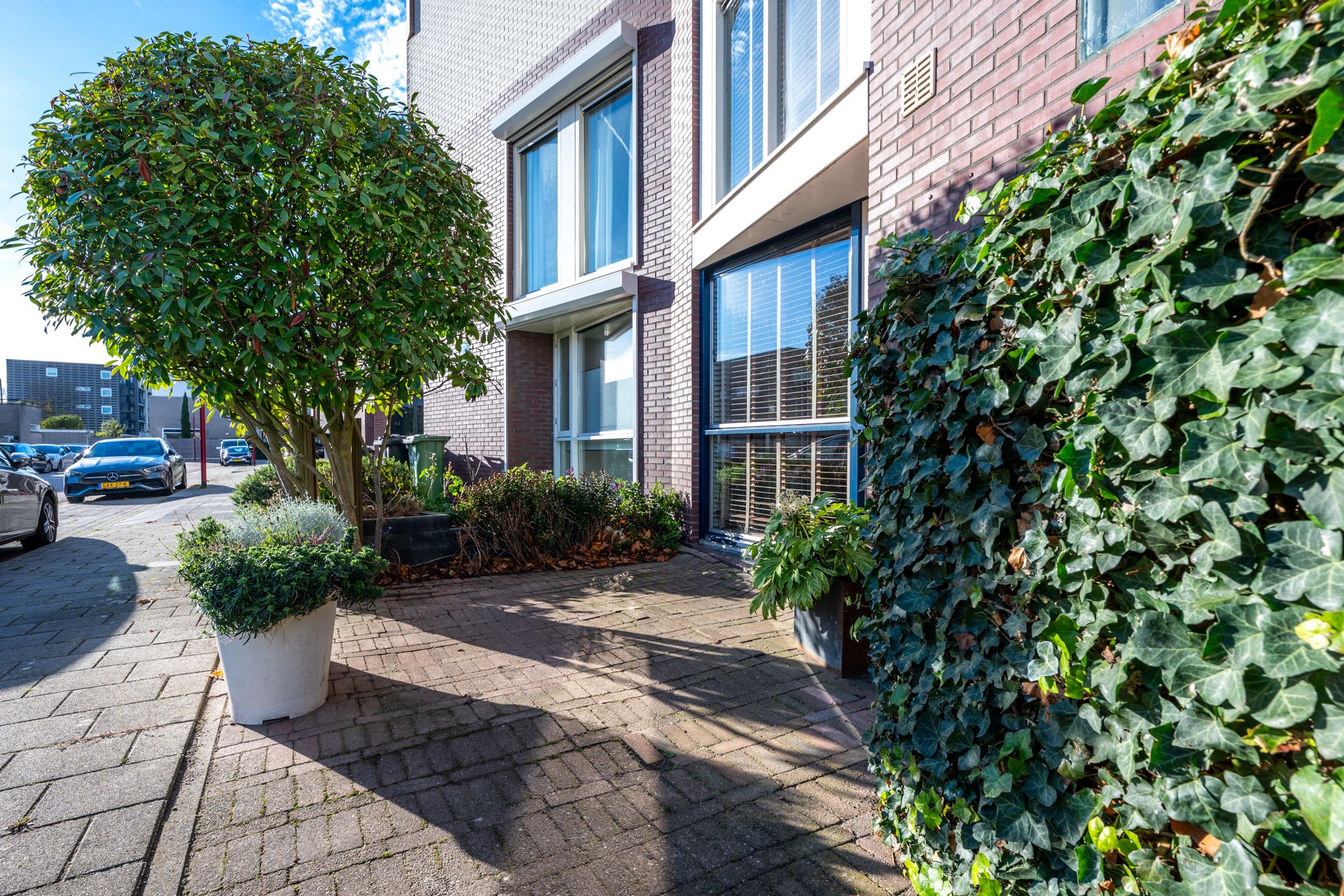 Foto 39 van Willem Walravenhove 38