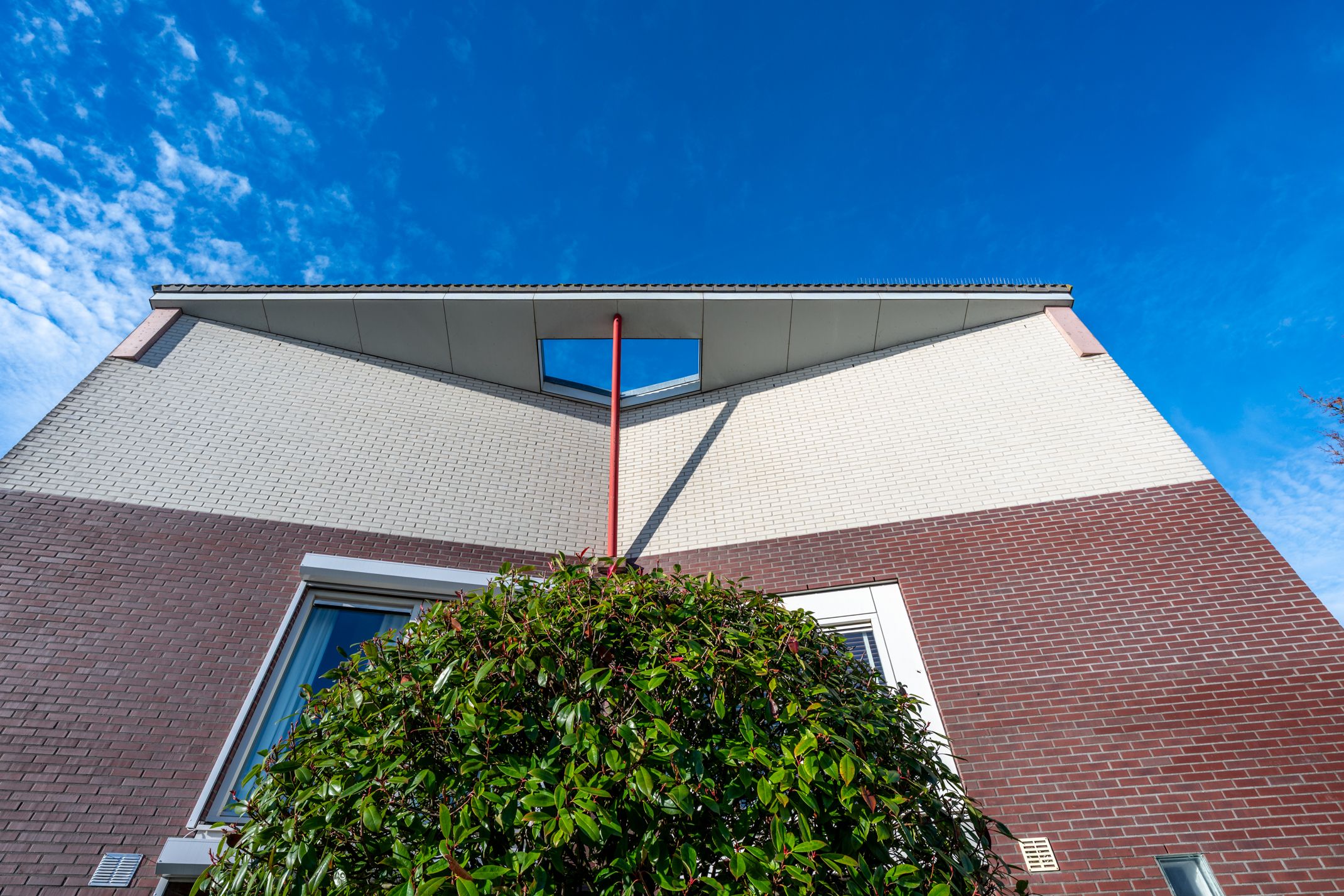 Foto 42 van Willem Walravenhove 38