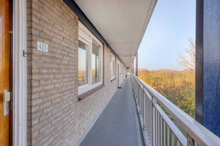 Foto 2 van Kruiskampsingel 423