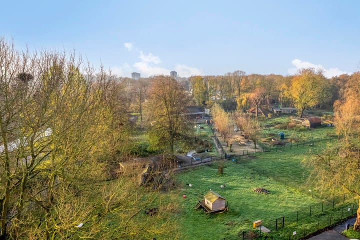 Foto 8 van Kruiskampsingel 423