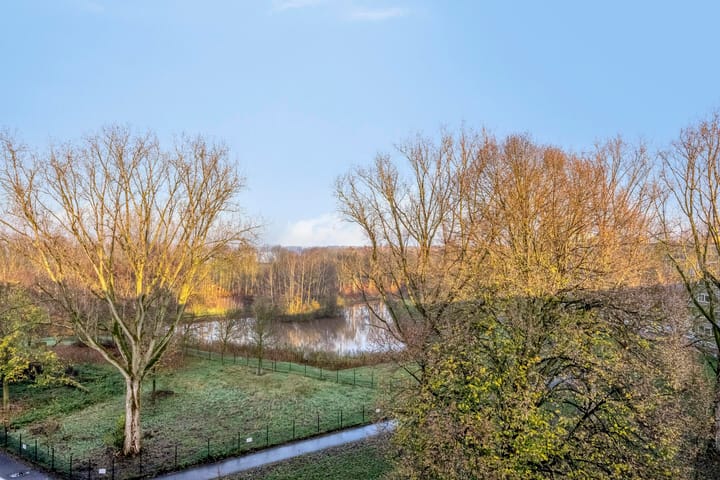 Foto 7 van Kruiskampsingel 423