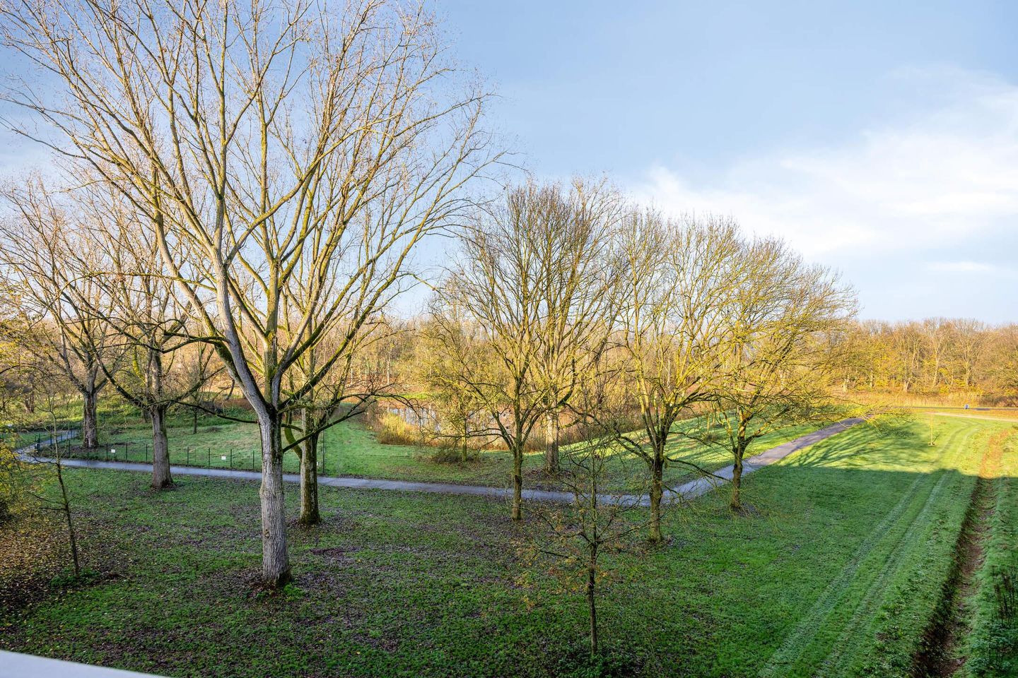 Foto 4 van Kruiskampsingel 283