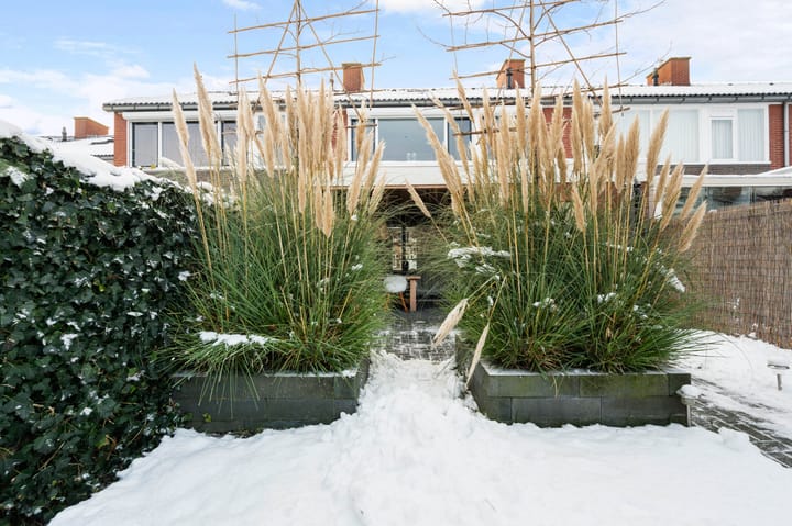 Foto 35 van Voeghoutenstraat 49