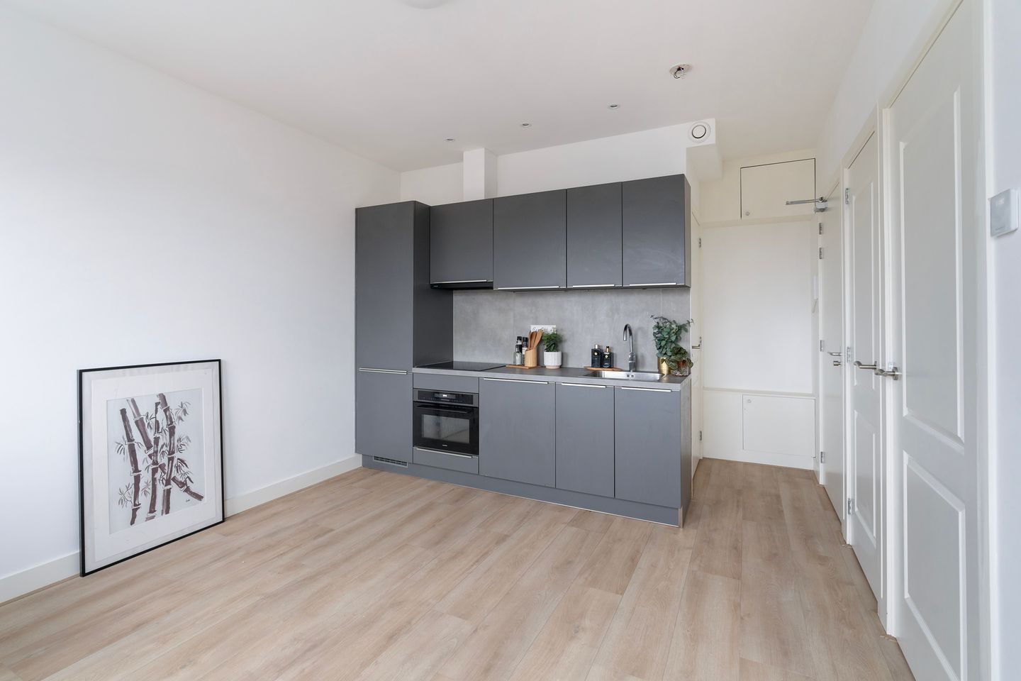 Foto 4 van Rijswijkseweg 211-B