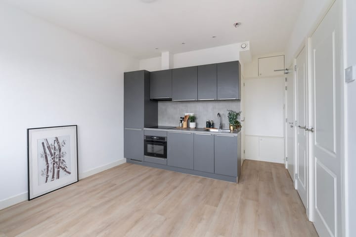 Photo 4 of Rijswijkseweg 211-B