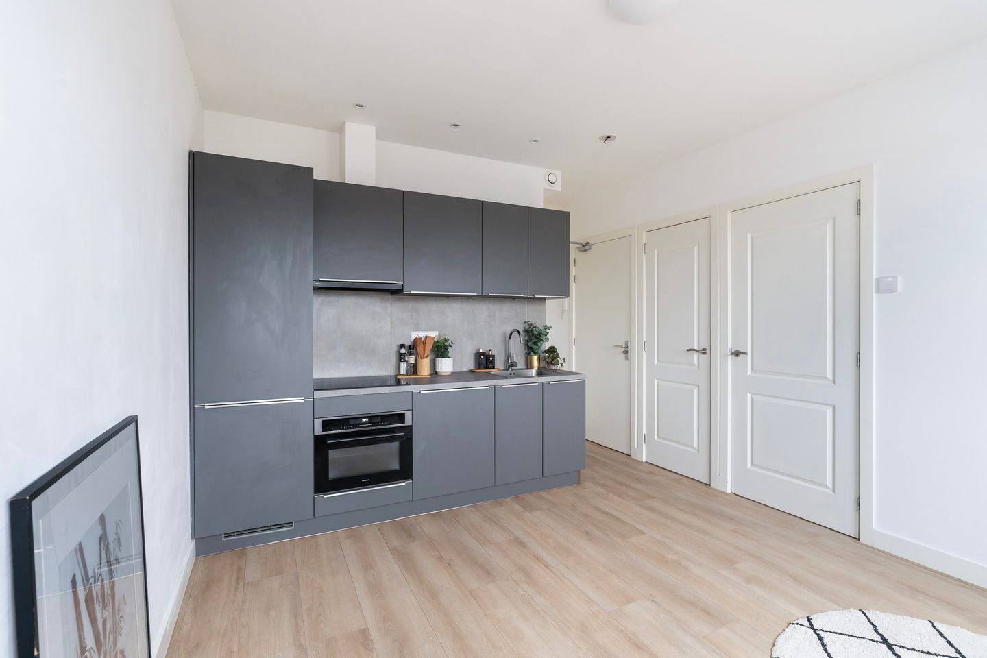 Foto 5 van Rijswijkseweg 211-B