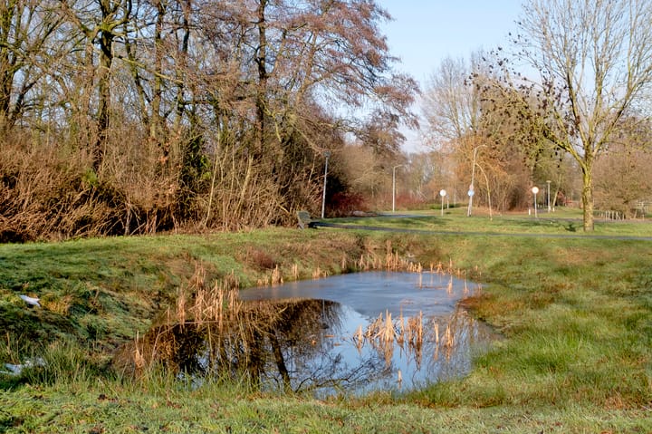 Foto 46 van Brinkkamp 6