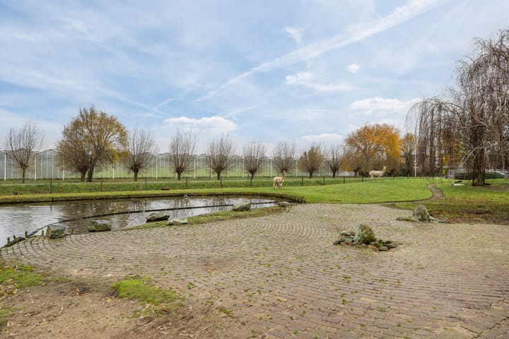 Photo 58 of Korte Kruisweg 167