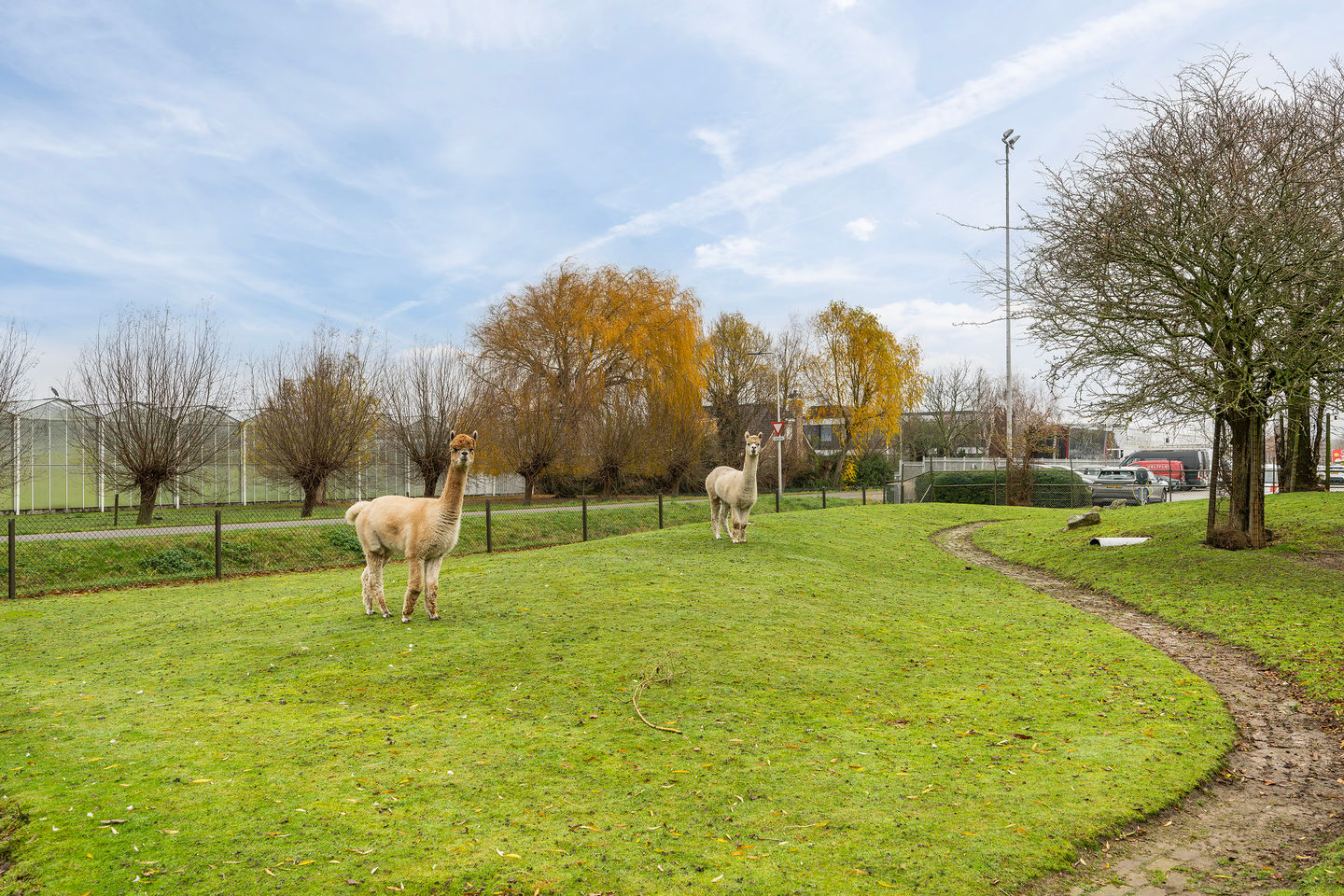 Photo 59 of Korte Kruisweg 167