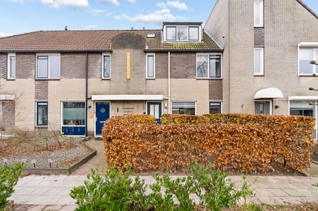 Corlaerstraat thumbnail