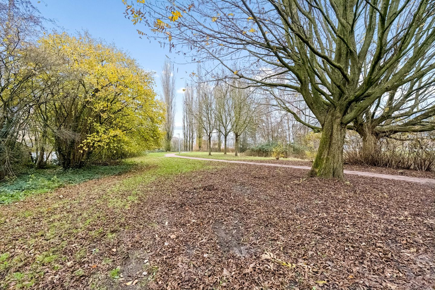 Photo 44 of Corlaerstraat 22