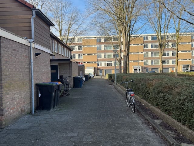 Photo 40 of Rhijnvis Feithlaan 60
