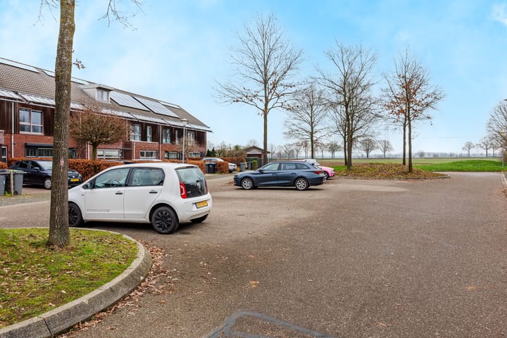 Foto 50 van de Lingert 5806