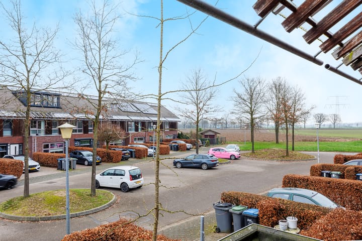 Foto 52 van de Lingert 5806