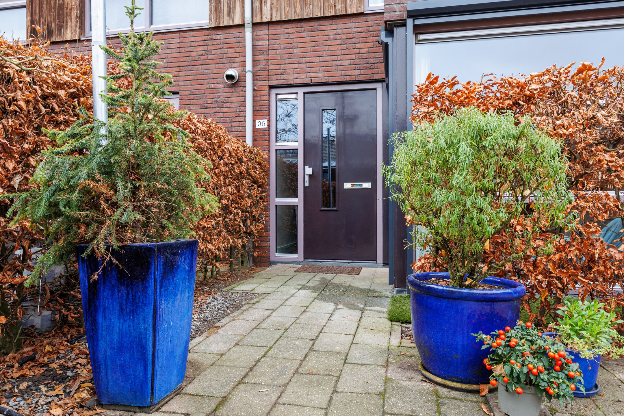 Foto 48 van de Lingert 5806