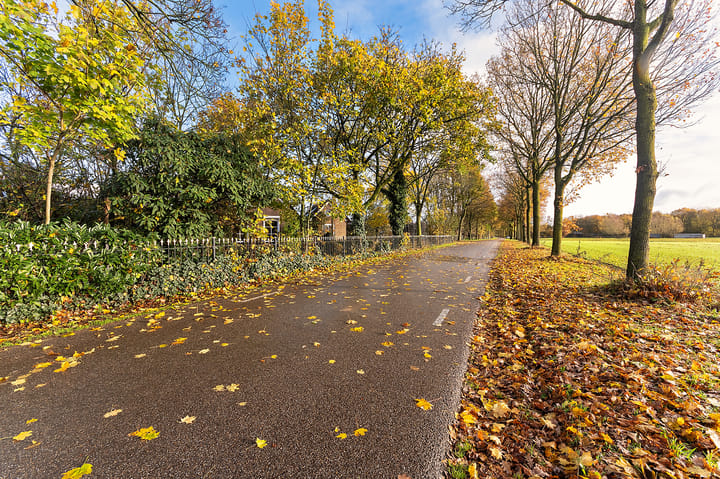 Foto 41 van Hazenpad 26