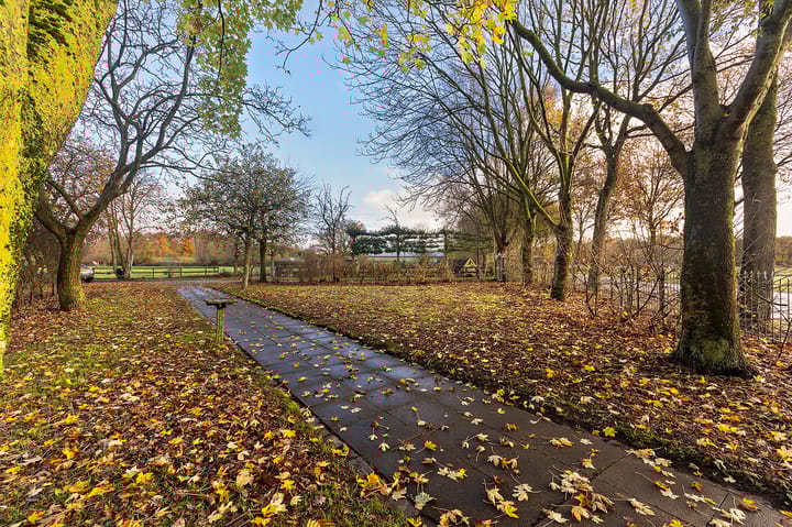 Foto 44 van Hazenpad 26