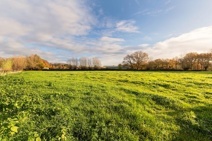 Foto 47 van Hazenpad 26