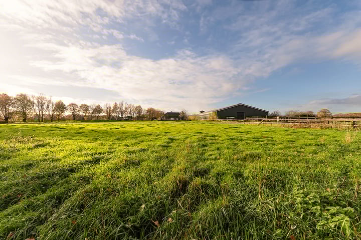 Foto 48 van Hazenpad 26