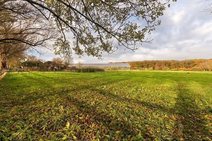 Foto 49 van Hazenpad 26