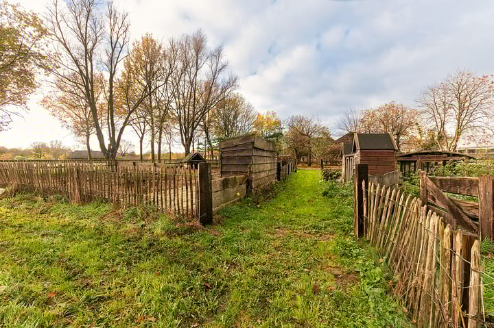 Foto 51 van Hazenpad 26