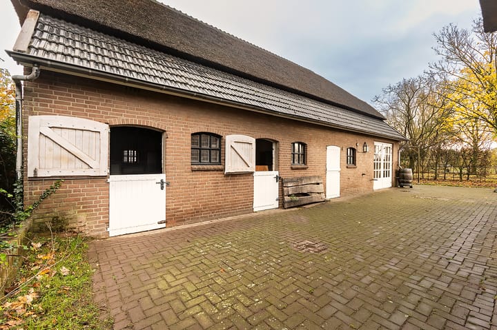 Foto 55 van Hazenpad 26