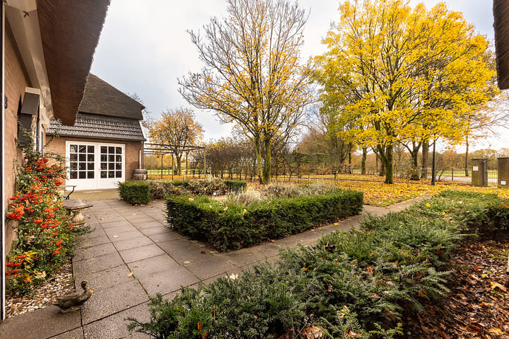 Foto 56 van Hazenpad 26