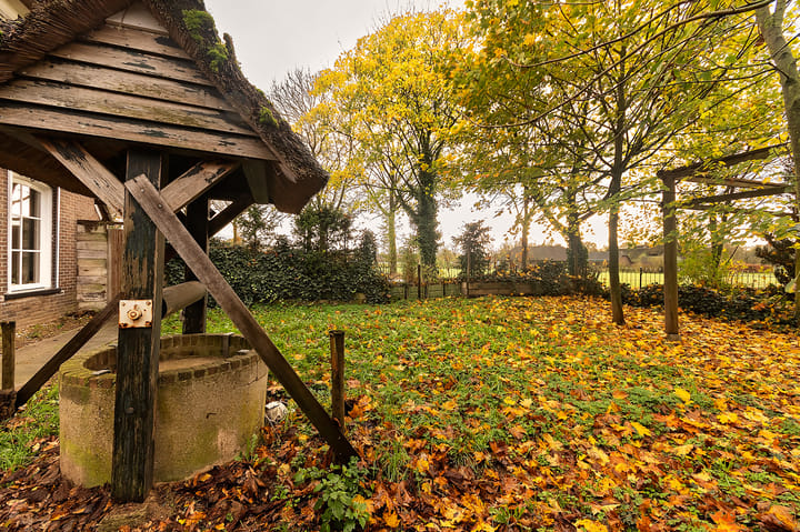 Foto 60 van Hazenpad 26