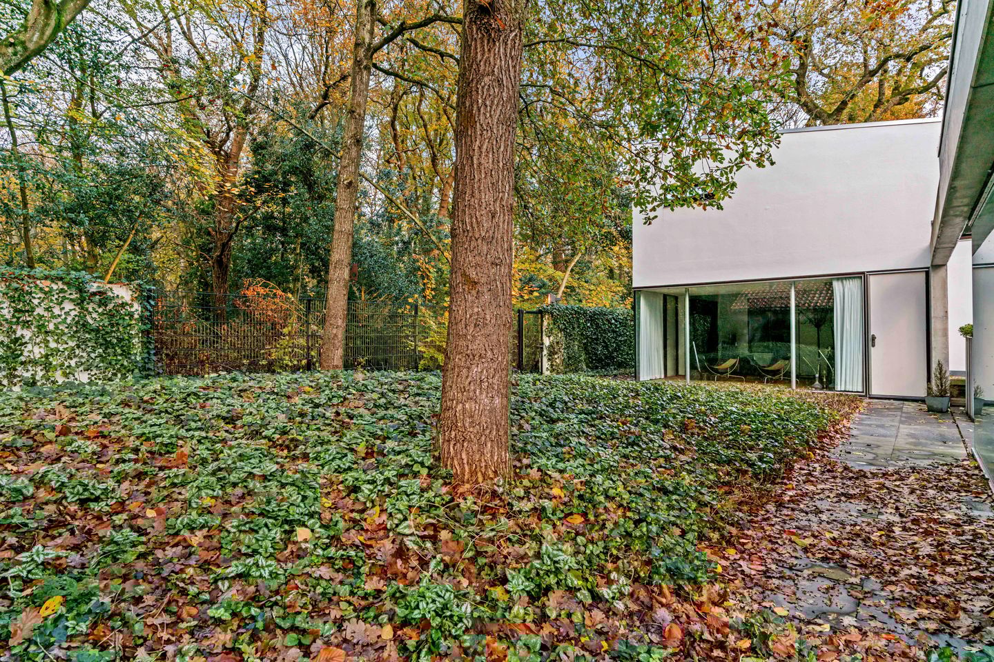 Foto 44 van Meerweg 4