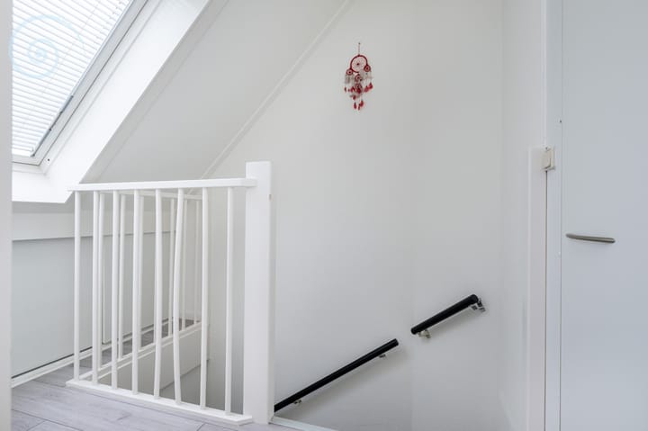 Photo 26 of Botter 9