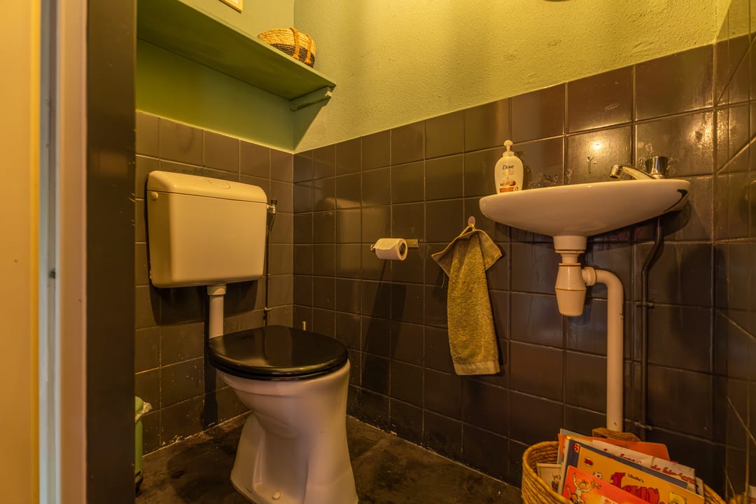 Foto 11 van Purperforel 10