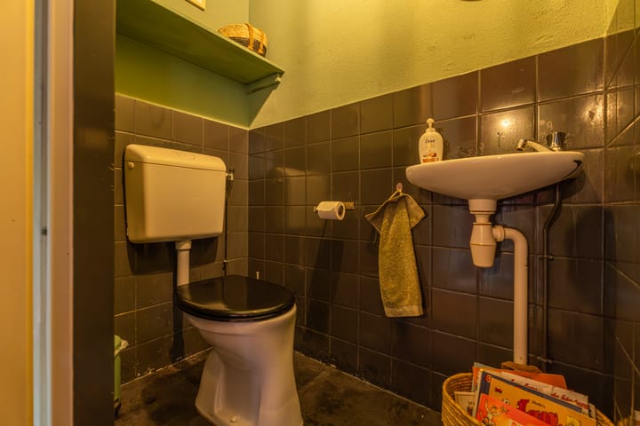 Foto 11 van Purperforel 10