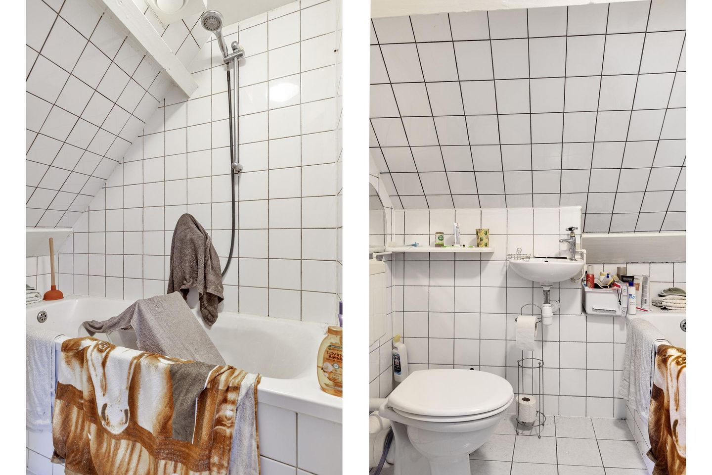 Foto 25 van Blommersdijkselaan 9-A