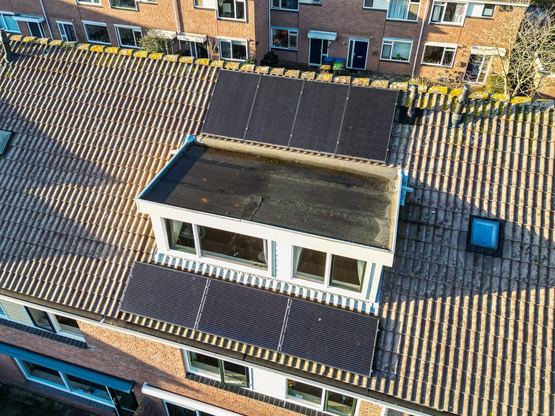 Foto 32 van Purperforel 10