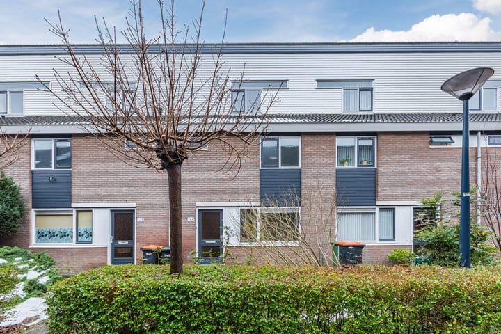 Foto 1 van Boogschutter 164