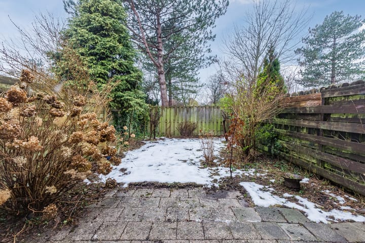 Foto 42 van Boogschutter 164