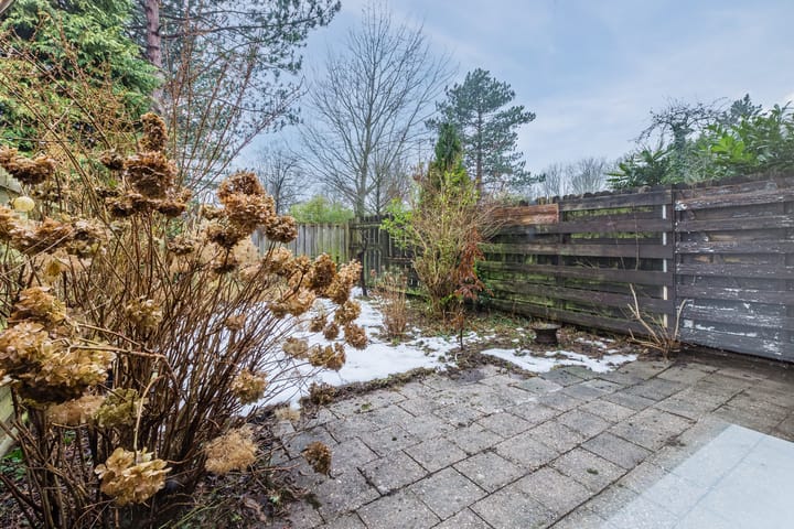 Foto 43 van Boogschutter 164