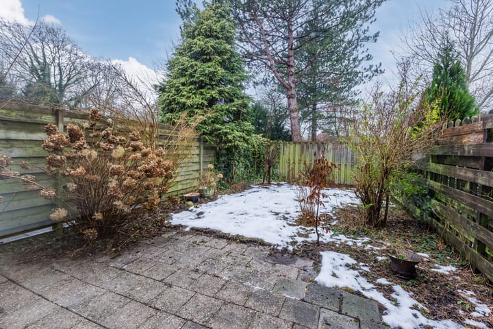 Foto 44 van Boogschutter 164