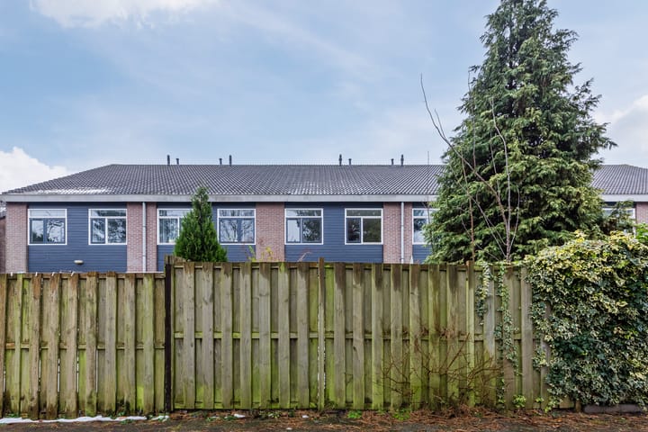 Foto 47 van Boogschutter 164